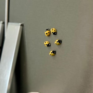 Tiny Ladybug Fridge Magnets | Decorative Mini Magnet Set Yellow