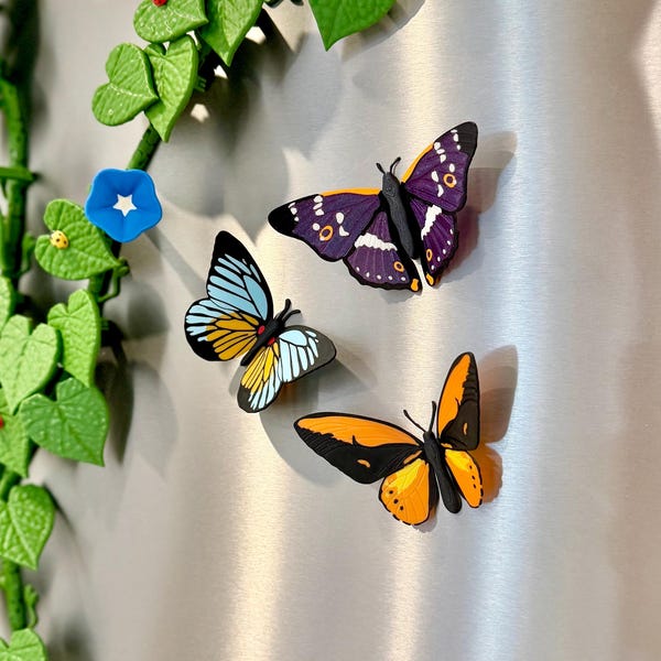 Butterfly Fridge Magnets | Magnet Set | Butterfly Kitchen and Home decor