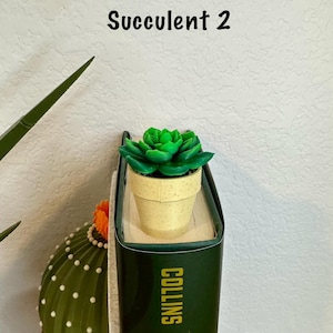 May include: A small green succulent plant in a beige pot, used as a bookmark on a green book with the text "COLLINS SONG" on the spine. The text "Succulent 2" is written above the plant.