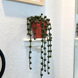 May include: A terracotta-colored ceramic pot holds a String of Pearls plant, its cascading green, bead-like leaves hanging down. The pot sits on a white shelf against a textured white wall. A framed butterfly art piece hangs above.