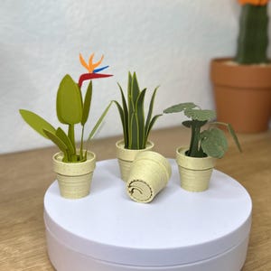 May include: Four small potted plants on a white turntable. The plants are in green pots with a speckled texture. The plants are a bird of paradise, a succulent, a fern, and a small leafy plant.