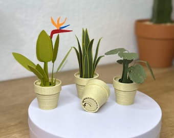 May include: Four small potted plants on a white turntable. The plants are in green pots with a speckled texture. The plants are a bird of paradise, a succulent, a fern, and a small leafy plant.