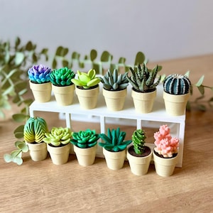 May include: A collection of twelve miniature artificial succulents and cacti in small, speckled beige pots, arranged on a two-tiered white rectangular display stand. The plants feature various shapes and colors, including purple, green, and pink.