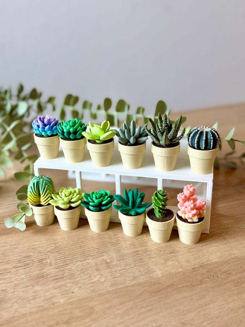 May include: A collection of twelve miniature artificial succulents and cacti in small, speckled beige pots, arranged on a two-tiered white rectangular display stand. The plants feature various shapes and colors, including purple, green, and pink.