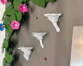 Mushroom Fridge Magnets | Whimsical Kichen Decor | Boho Chic | Floating Mini Fungi