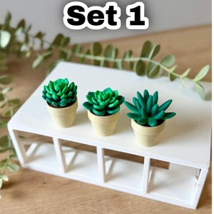 Spinning Succulent Fidget Toy: Sensory Cactus Desk Toy - ForgeCore Fidgets Set 1
