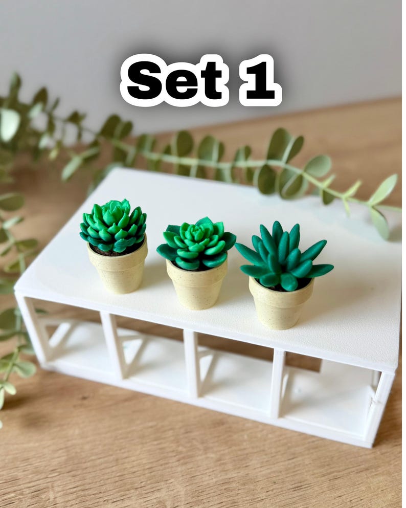 Spinning Succulent Fidget Toy: Sensory Cactus Desk Toy - ForgeCore Fidgets Set 1
