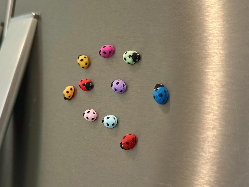 Tiny Ladybug Fridge Magnets | Decorative Mini Magnet Set Rainbow Assorted