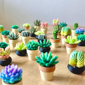 May include: A collection of miniature artificial succulent plants in small pots. The succulents feature various shapes, textures, and colors including shades of green, yellow, pink, and purple. The pots are small, round, and colored in tan, brown, or black.