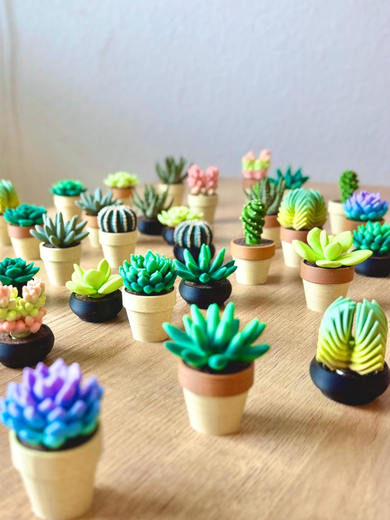 May include: A collection of miniature artificial succulent plants in small pots. The succulents feature various shapes, textures, and colors including shades of green, yellow, pink, and purple. The pots are small, round, and colored in tan, brown, or black.