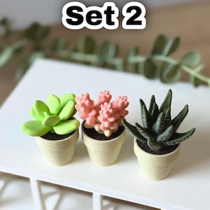 May include: Three miniature potted succulent plants labeled Set 2. The left plant is bright lime green, the center plant is light pink, and the right plant is dark green with textured leaves. Each plant sits in a small, speckled beige pot.