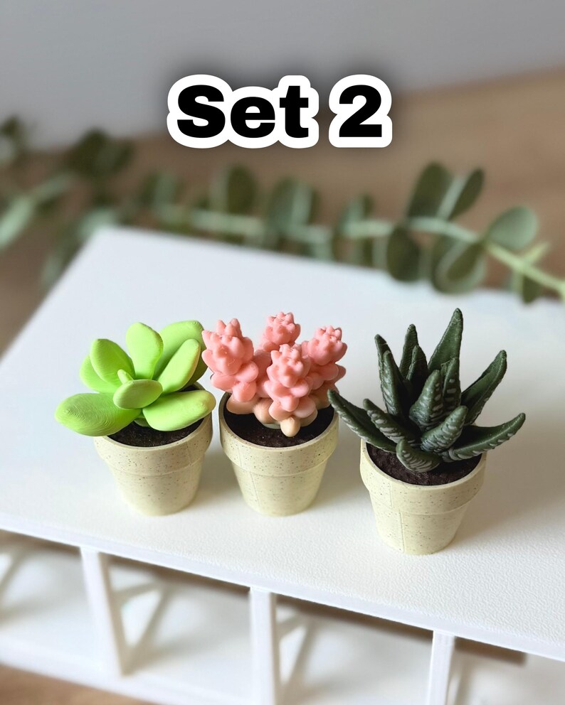 May include: Three miniature potted succulent plants labeled Set 2. The left plant is bright lime green, the center plant is light pink, and the right plant is dark green with textured leaves. Each plant sits in a small, speckled beige pot.