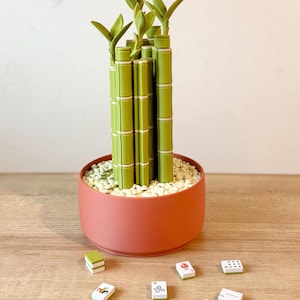 May include: A decorative bamboo plant sculpture constructed from green plastic segments, potted in a round terracotta-colored container filled with small white stones. Six small rectangular tiles with various printed symbols are scattered nearby.