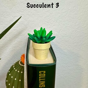 May include: A green succulent plant in a small beige pot, used as a bookmark on a book titled "Collins Sons". The text "Succulent 3" is written above the plant.