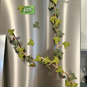 English Ivy Fridge Foliage Magnet Set: Articulating Vine - ForgeCore Design
