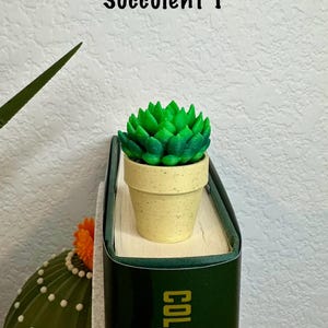 May include: A small green succulent plant in a beige pot, sitting on top of a green book with the word "COLLINS" printed in gold letters. The text "Succulent 1" is written above the plant.