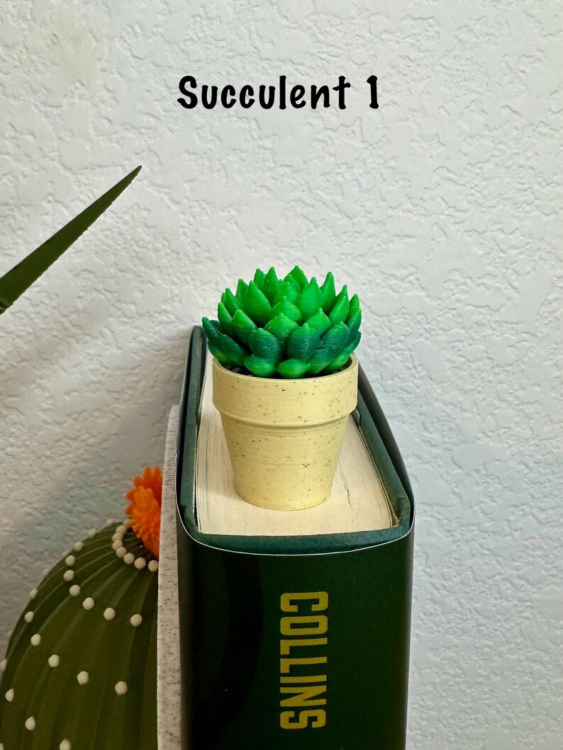 May include: A small green succulent plant in a beige pot, sitting on top of a green book with the word "COLLINS" printed in gold letters. The text "Succulent 1" is written above the plant.