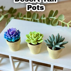 May include: Three miniature succulent plants in speckled desert tan pots. The left succulent is purple and blue, the center is light green, and the right is sage green. The text "Desert Tan Pots" is displayed at the top of the image.