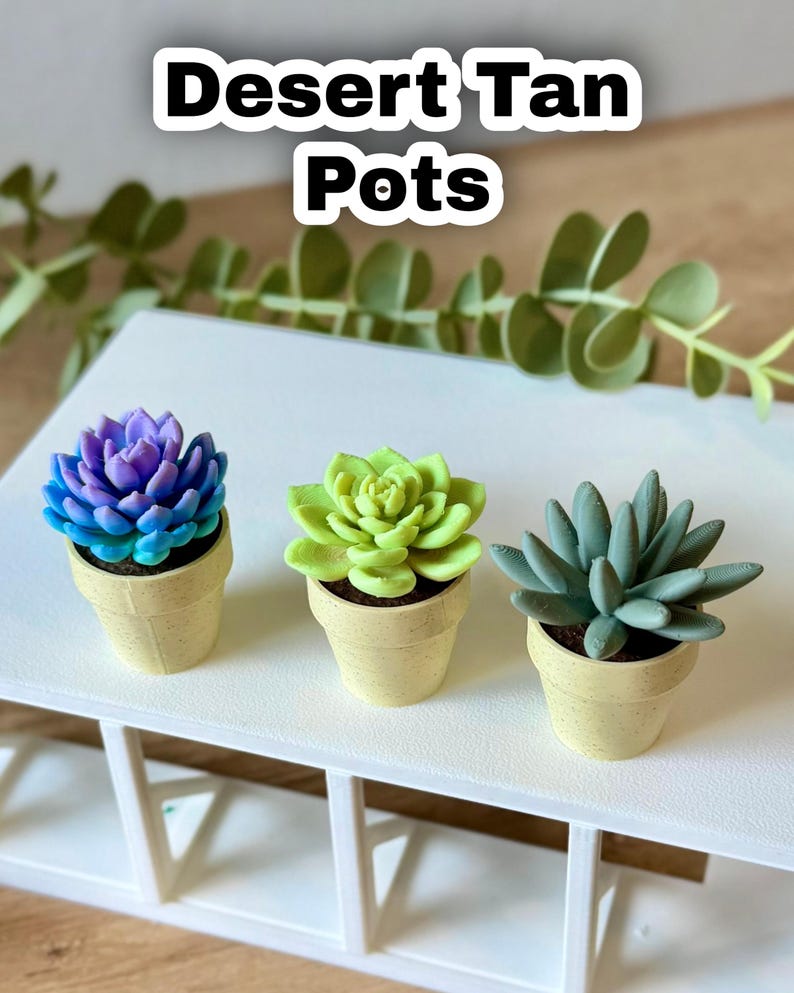 May include: Three miniature succulent plants in speckled desert tan pots. The left succulent is purple and blue, the center is light green, and the right is sage green. The text "Desert Tan Pots" is displayed at the top of the image.