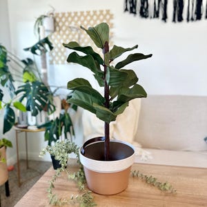 May include: A faux fiddle leaf fig tree in a terracotta pot with a white speckled rim. The plant has large, green leaves and a brown trunk. The pot sits on a light brown wooden table.