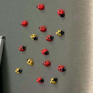 Tiny Ladybug Fridge Magnets | Decorative Mini Magnet Set image 15