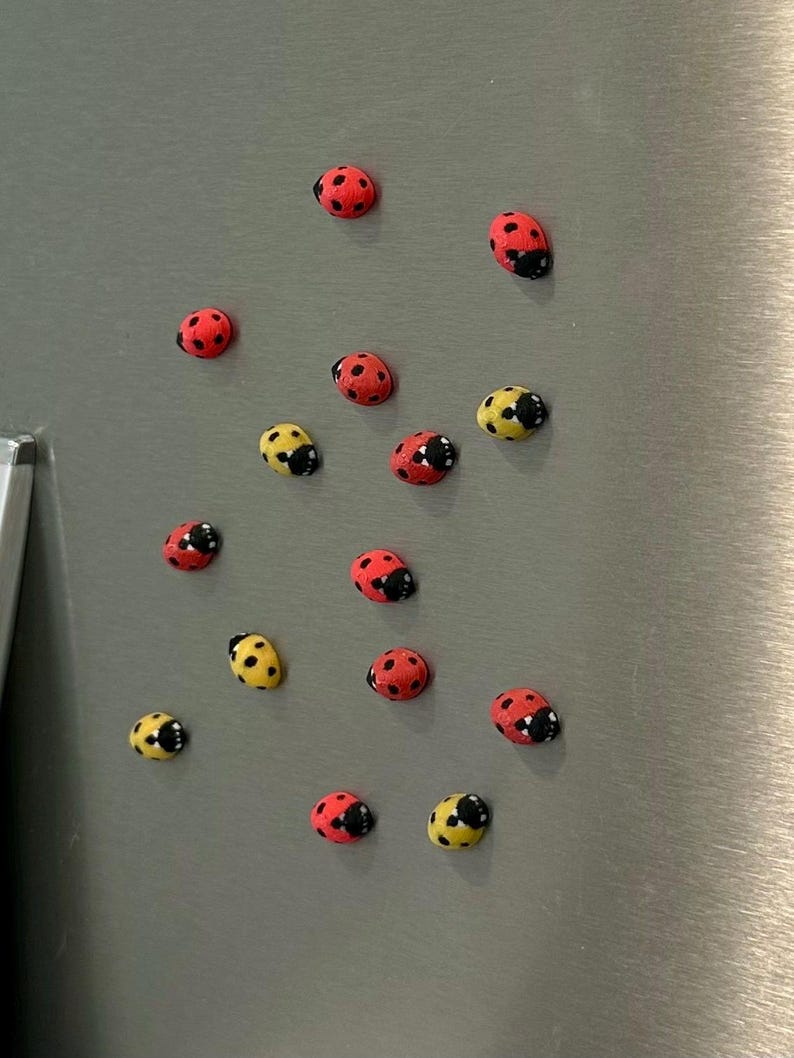 Tiny Ladybug Fridge Magnets | Decorative Mini Magnet Set image 15