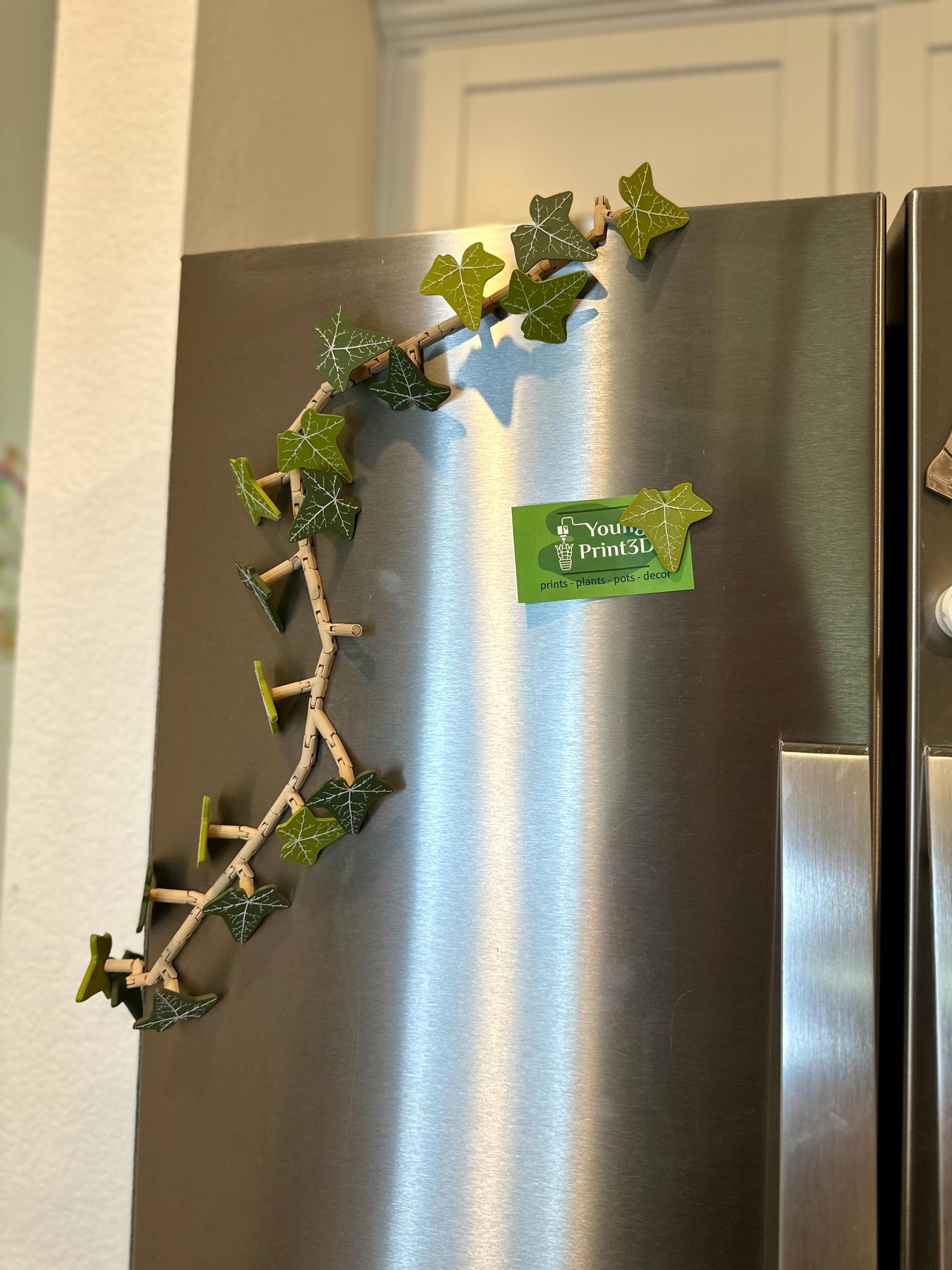 2 Aimants Décoratifs Lierre Imprimés 3D - Pour Frigo Ou Surface Métallique - Décoration Cuisine Fun
