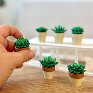 Spinning Succulent Fidget Toy: Sensory Desk Toy - ForgeCore Fidgets image 2