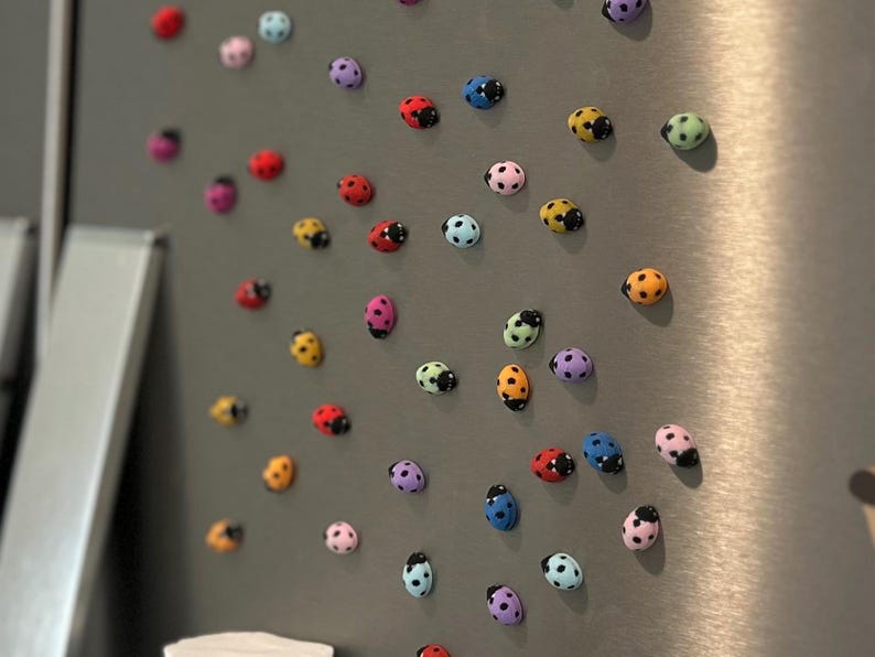 Tiny Ladybug Fridge Magnets | Decorative Mini Magnet Set image 11