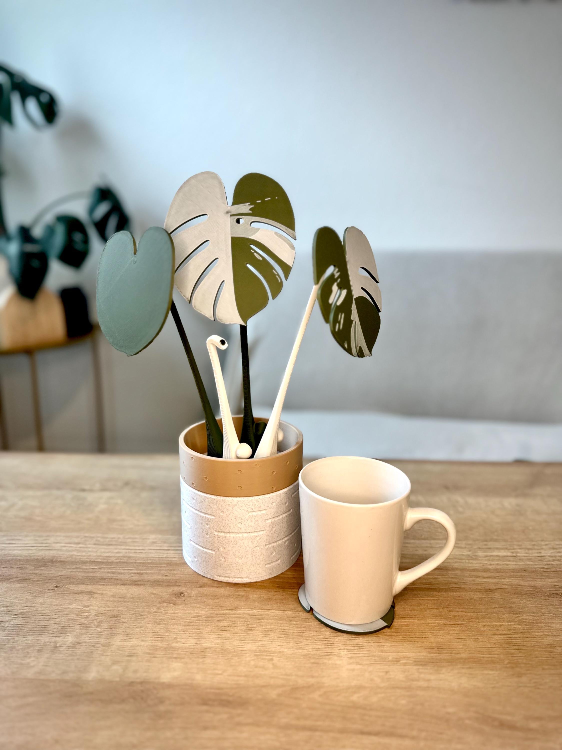 shop indoor plants online Easy Care Variety Bundle