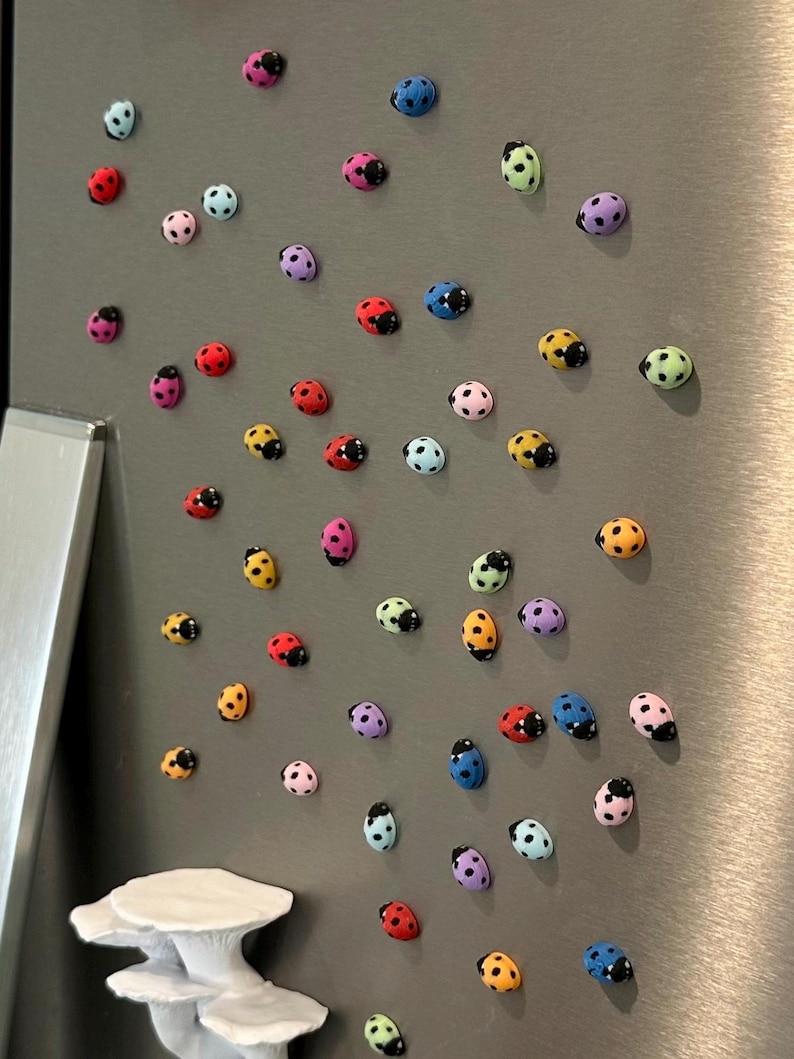 Tiny Ladybug Fridge Magnets | Decorative Mini Magnet Set image 12