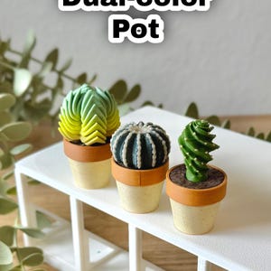 May include: Three miniature potted plants featuring textured green and yellow cacti in small, dual-color pots with a tan rim and speckled cream base. The text "Dual-color Pot" appears at the top of the image above the three small decorative plants.