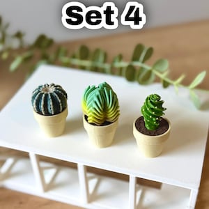 May include: Three miniature potted cacti labeled Set 4. The first is a dark blue-green round cactus, the second is a green and yellow fan-shaped cactus, and the third is a bright green spiral cactus. Each sits in a small, light beige plastic pot.