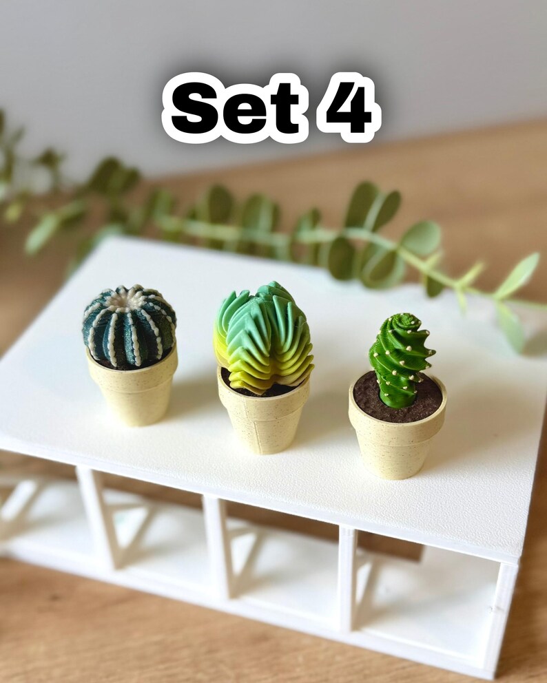 May include: Three miniature potted cacti labeled Set 4. The first is a dark blue-green round cactus, the second is a green and yellow fan-shaped cactus, and the third is a bright green spiral cactus. Each sits in a small, light beige plastic pot.
