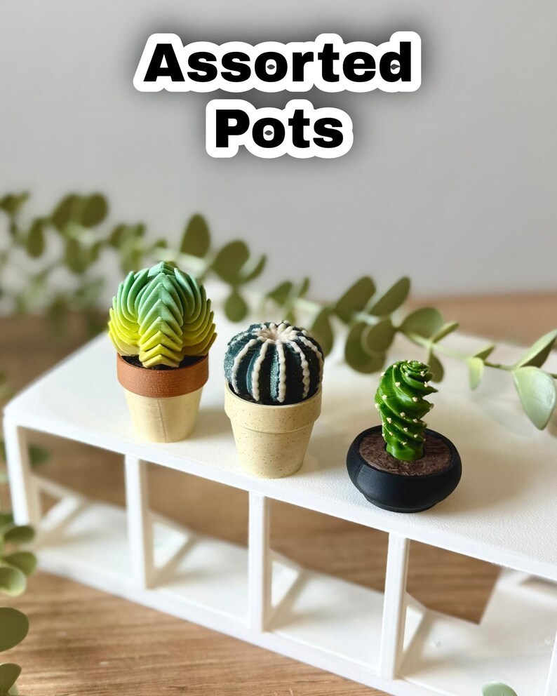 Spinning Succulent Fidget Toy: Sensory Cactus Desk Toy - ForgeCore Fidgets image 13