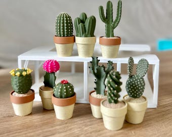 Clicky Cactus Fidget Toy: Sensory Desk Decor