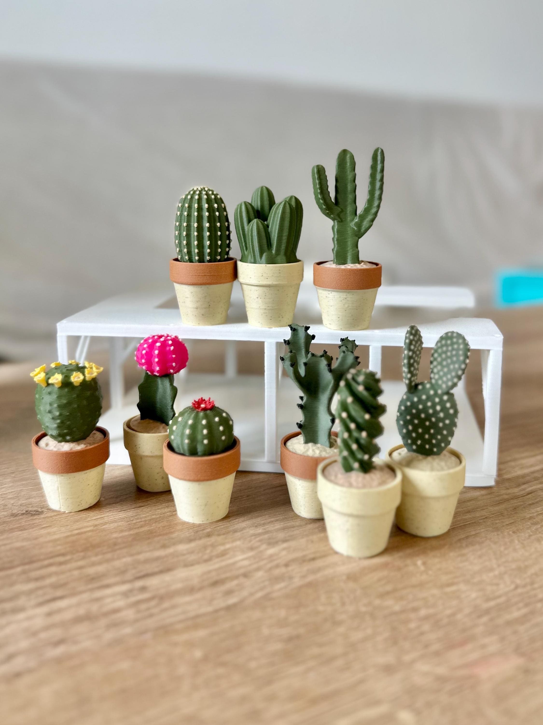 Clicky Cactus Fidget Toy: Sensory Desk Decor - Etsy