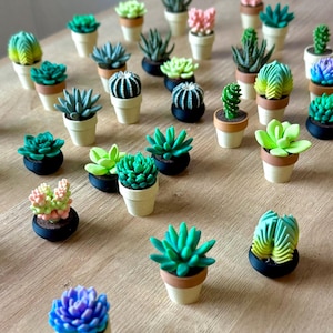 May include: A collection of miniature potted succulent figurines in various shapes and colors, including shades of green, pink, blue, and yellow. Each small plant is housed in a tiny, individual pot, either beige or black, arranged in a group.