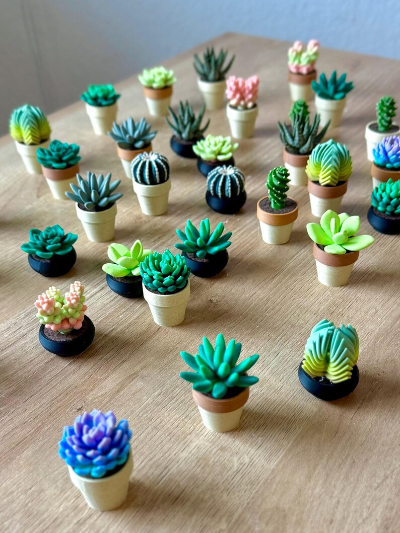 May include: A collection of miniature potted succulent figurines in various shapes and colors, including shades of green, pink, blue, and yellow. Each small plant is housed in a tiny, individual pot, either beige or black, arranged in a group.