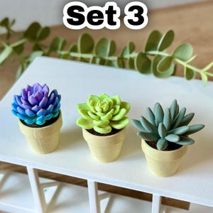 Spinning Succulent Fidget Toy: Sensory Cactus Desk Toy - ForgeCore Fidgets Set 3