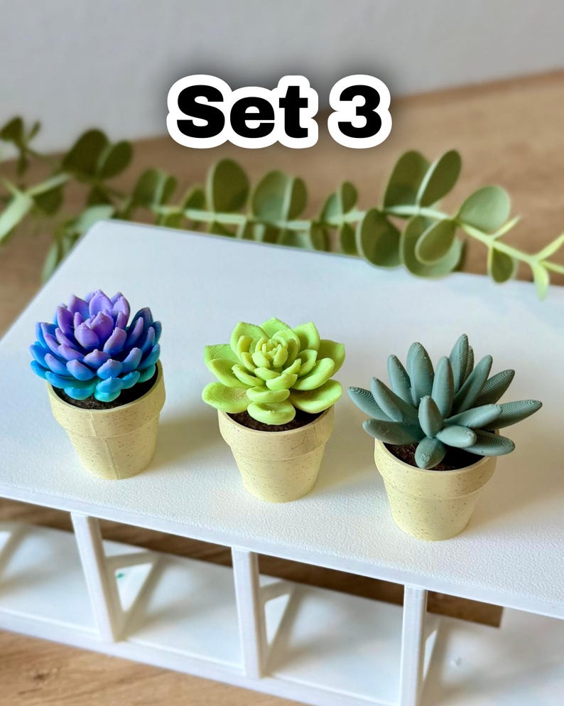 Spinning Succulent Fidget Toy: Sensory Cactus Desk Toy - ForgeCore Fidgets Set 3
