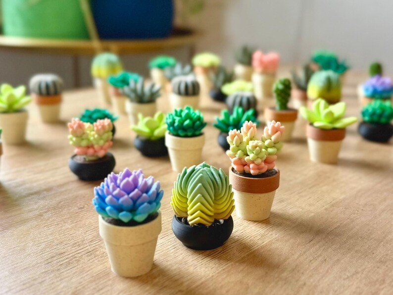 May include: A collection of miniature succulent plants in small pots. The succulents feature various shapes and colors, including shades of green, pink, blue, and yellow. Each plant is housed in a tiny, individual container, either beige or black.