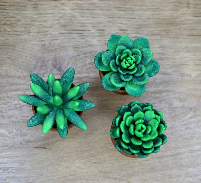 May include: Three small potted succulents with green leaves. The succulents are in brown pots and are arranged on a light brown wooden surface.