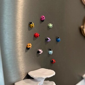 Tiny Ladybug Fridge Magnets | Decorative Mini Magnet Set image 17