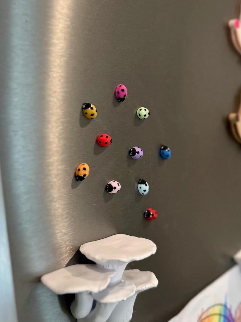 Tiny Ladybug Fridge Magnets | Decorative Mini Magnet Set image 17