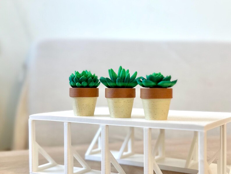 Spinning Succulent Fidget Toy: Sensory Desk Toy - ForgeCore Fidgets image 8