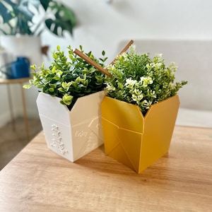 Chinese Takeout Container Plant Pot | Decorative Cover Pot | Home Decor | Plant Decor | Takeaway Container Decorative Bowl
