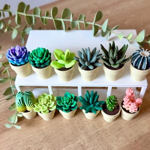 May include: A collection of twelve miniature artificial succulent plants in small beige pots, arranged on a white tiered display stand. The succulents feature various shapes and colors, including shades of purple, green, blue, and pink, with realistic textures.