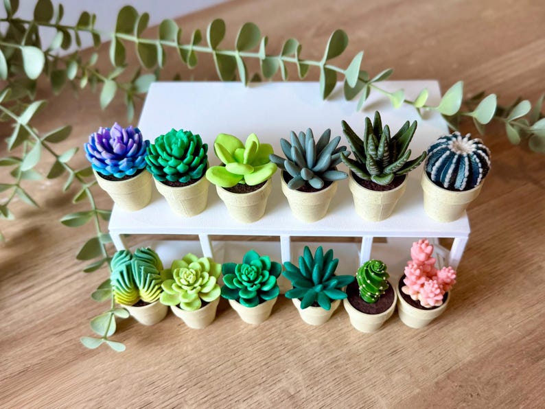 May include: A collection of twelve miniature artificial succulent plants in small beige pots, arranged on a white tiered display stand. The succulents feature various shapes and colors, including shades of purple, green, blue, and pink, with realistic textures.