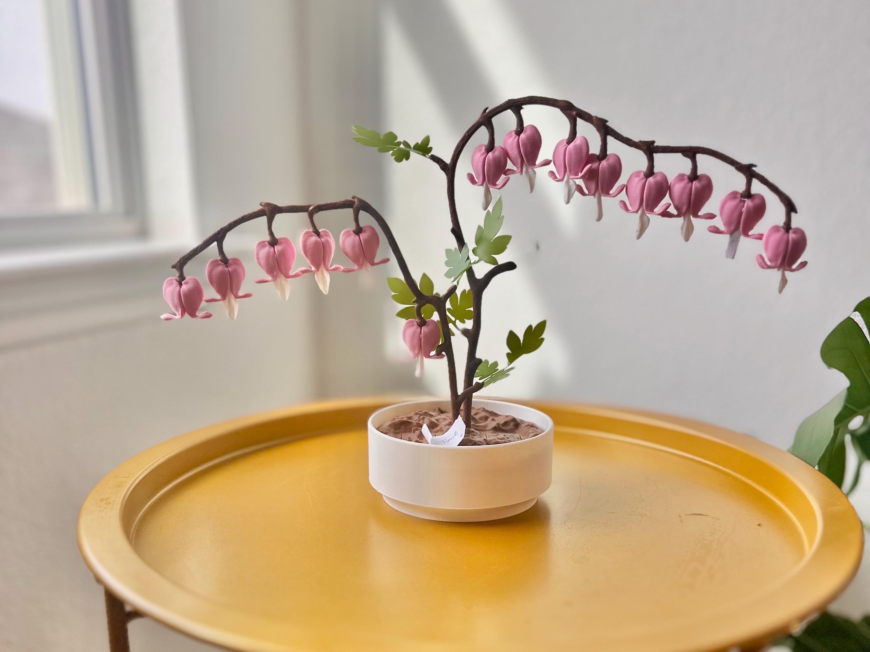 Bleeding sweetHearts | Jewelry Box | 3D Printed Flowers | Forgecore Love Note Flowers